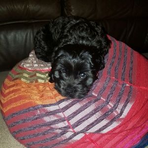 Meet your Posher, Cathy